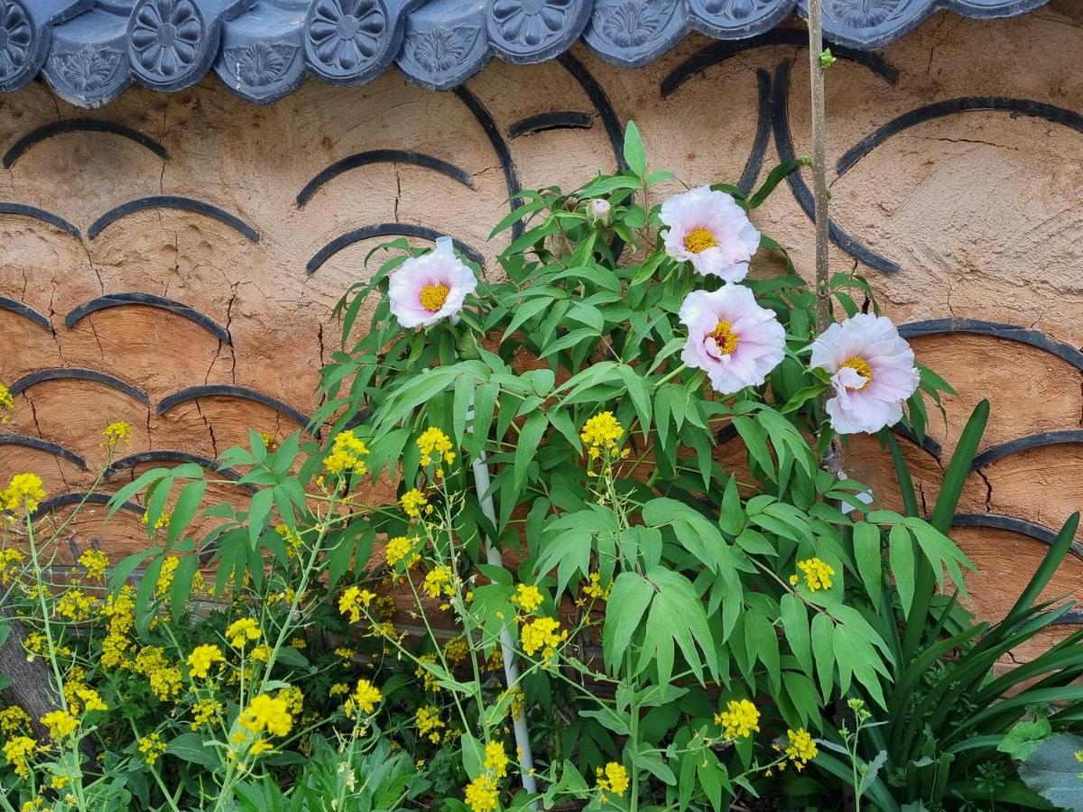 Dasomchae Hanok Stay Gwangju Metropolitan City Exterior foto